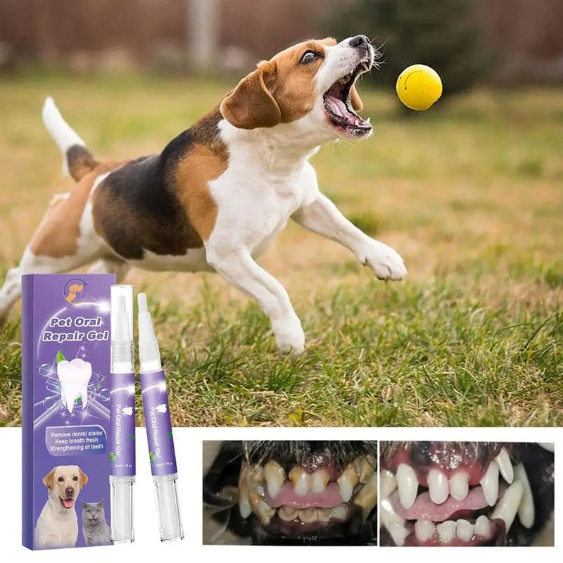 Caneta Gel Dental para Cães e Gatos